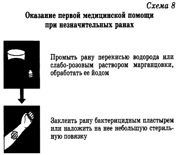 Реферат: Основные принципы оказания первой медицинской помощи при ранениях